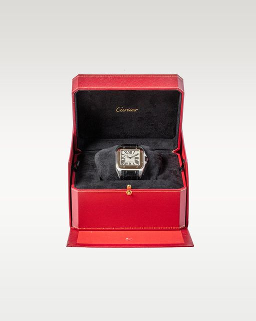 Cartier Santos 100 W20072X7 Image 5
